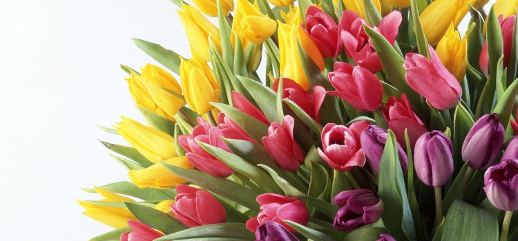 Gratulacje! Uniwersytet Trzeciego Wieku Gratulacje! Uniwersytet Trzeciego Wieku