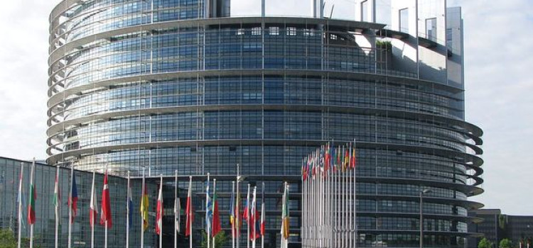 Kolejny sukces Tołstoja! I miejsce w finale konkursu „Z demokracją na Ty” Kolejny sukces Tołstoja! I miejsce w finale konkursu „Z demokracją na Ty”