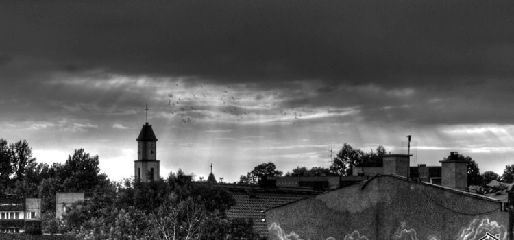 Zapraszamy do projektu TROPICIELE HISTORII Zapraszamy do projektu TROPICIELE HISTORII