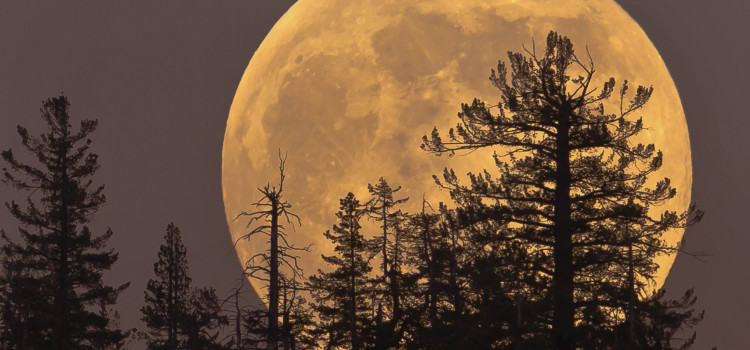 14 listopada 2016 roku w Polsce zobaczymy Superksiężyc! 14 listopada 2016 roku w Polsce zobaczymy Superksiężyc!