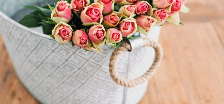 Dzień Kobiet – Najlepsze Życzenia!!! Dzień Kobiet – Najlepsze Życzenia!!!