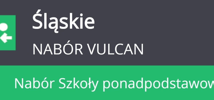 Instrukcja systemu naborowego – Terminy Instrukcja systemu naborowego – Terminy