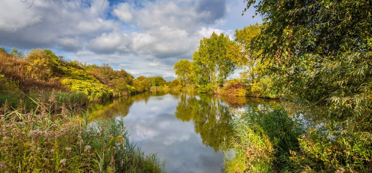 Dziś DZIEŃ ZIEMI Dziś DZIEŃ ZIEMI