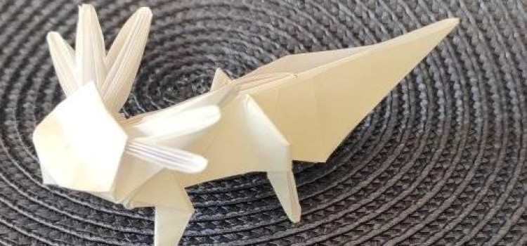 Uwaga ogłaszamy wyniki konkursu z okazji Światowego Dnia Origami Uwaga ogłaszamy wyniki konkursu z okazji Światowego Dnia Origami