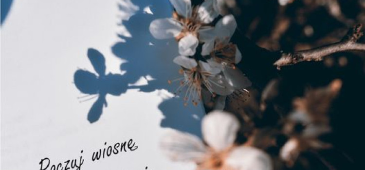 Stowarzyszenie Bibliotekarzy Polskich Stowarzyszenie Bibliotekarzy Polskich