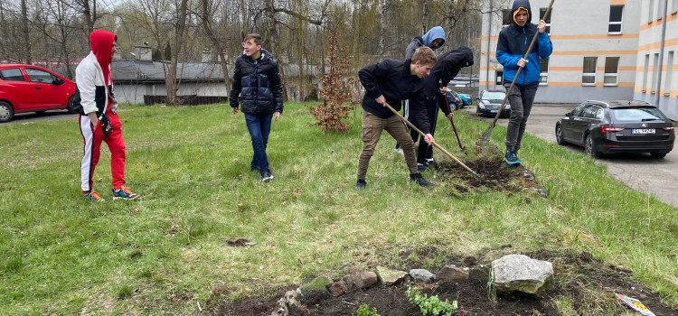 Posadziliśmy sadzonki przyniesione przez uczniów Posadziliśmy sadzonki przyniesione przez uczniów