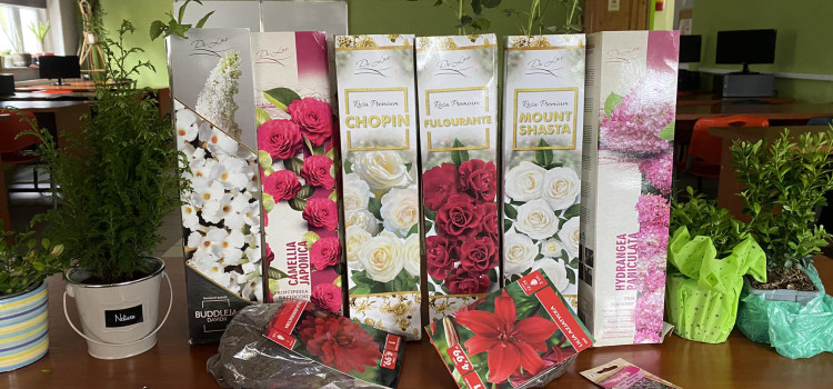 Rośliny w kolejnych Dniach Ziemi czekają na posadzenie Rośliny w kolejnych Dniach Ziemi czekają na posadzenie