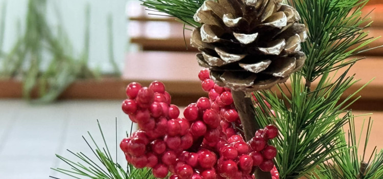 Już za miesiąc Święta Bożego Narodzenia. W związku z tym Katedra Przedmiotów Przyrodniczych zachęca do działań proekologicznych Już za miesiąc Święta Bożego Narodzenia. W związku z tym Katedra Przedmiotów Przyrodniczych zachęca do działań proekologicznych