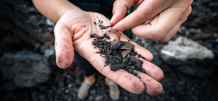 22 kwietnia obchodziliśmy Dzień Ziemi 22 kwietnia obchodziliśmy Dzień Ziemi